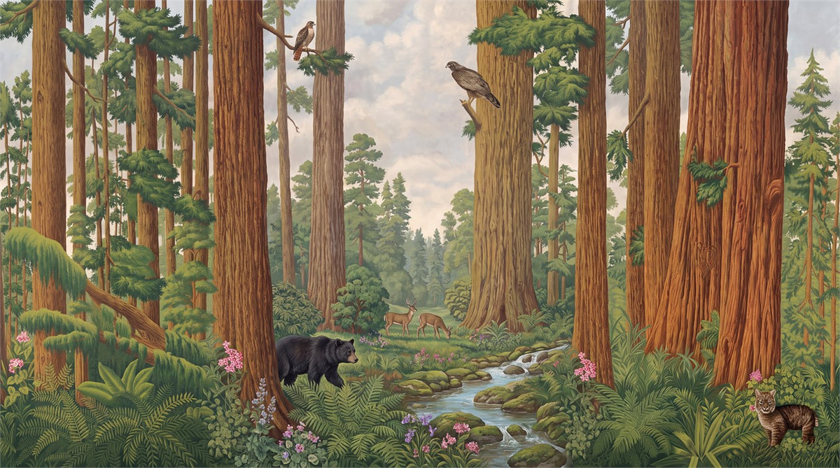 Majestic Brown Redwood Forest Wallpaper Mural