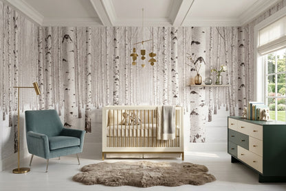 Rustic White Birch Forest Wallpaper Mural room scene