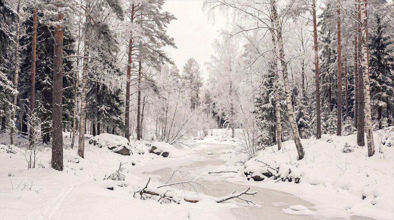 Gray Christmas Winter Forest Wallpaper Mural complete artwork