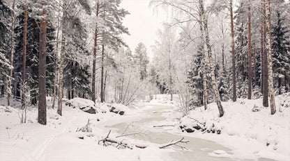 Gray Christmas Winter Forest Wallpaper Mural complete artwork