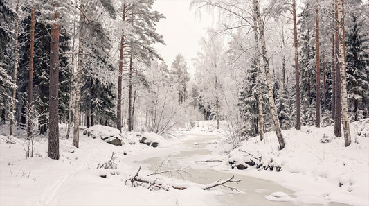 Gray Christmas Winter Forest Wallpaper Mural complete artwork