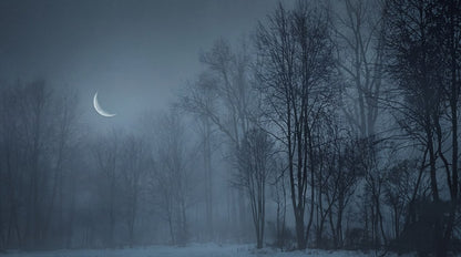 Foggy Crescent Moon Winter Forest Wallpaper Mural pattern artwork