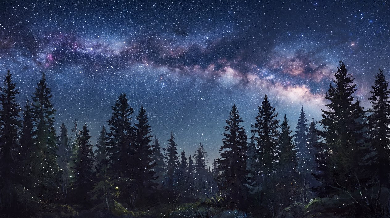 Starry Milky Way Pine Forest Wallpaper Mural pattern artwork