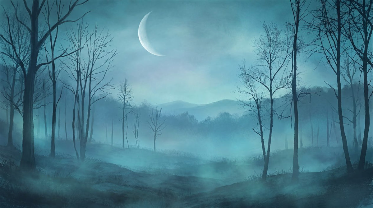 Misty Blue Crescent Moon Forest Wallpaper Mural pattern artwork
