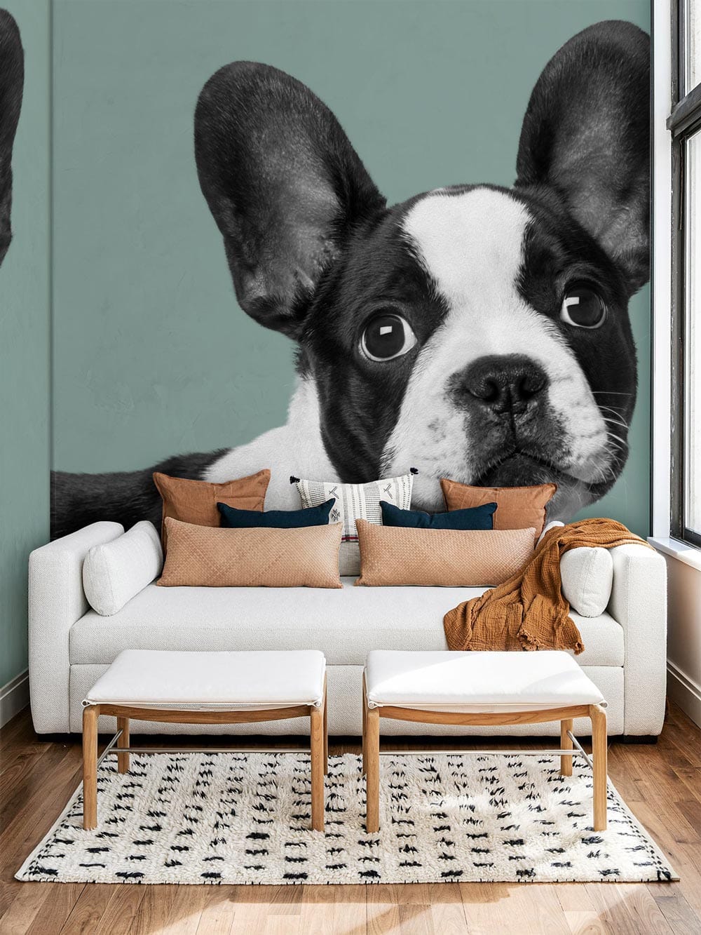 painting of a bulldog with innocent eyes for the living room