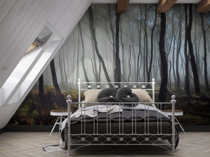 sunshine geting through the fog forest custom for bedroom