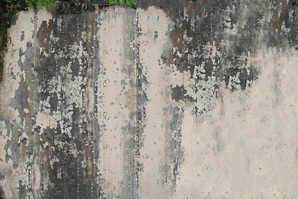 Rustic Concrete Textured Wall Mural Wallpaper