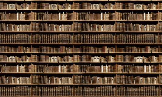 Vintage Library Bookshelf Wallpaper Mural in study room