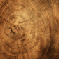 annual ring wood effect wall mural for wall decor