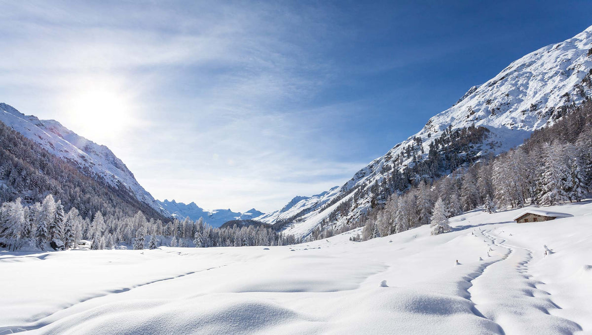 Serene Winter Landscape Wall Mural