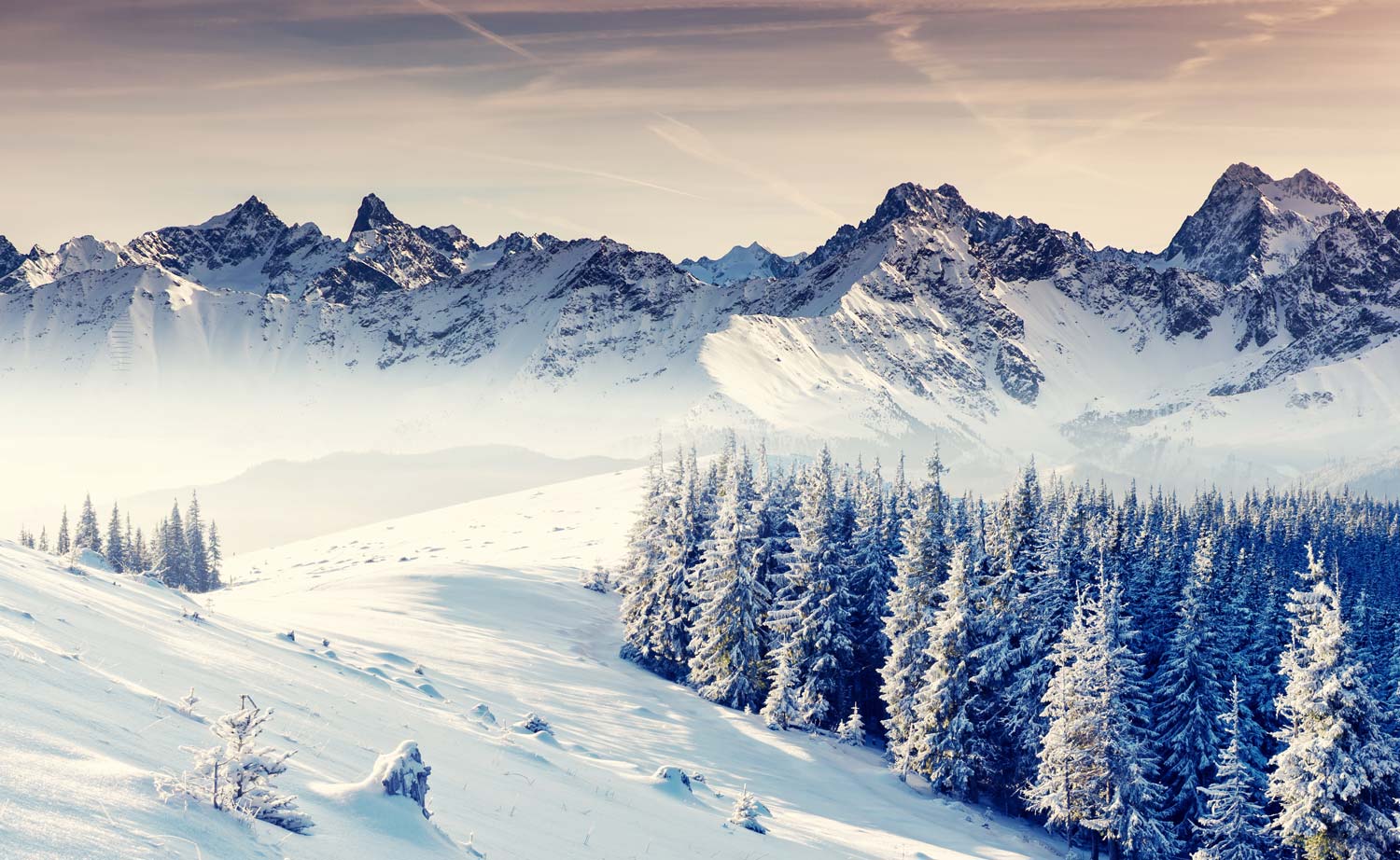 Mural wallpaper depicting snow-capped mountains