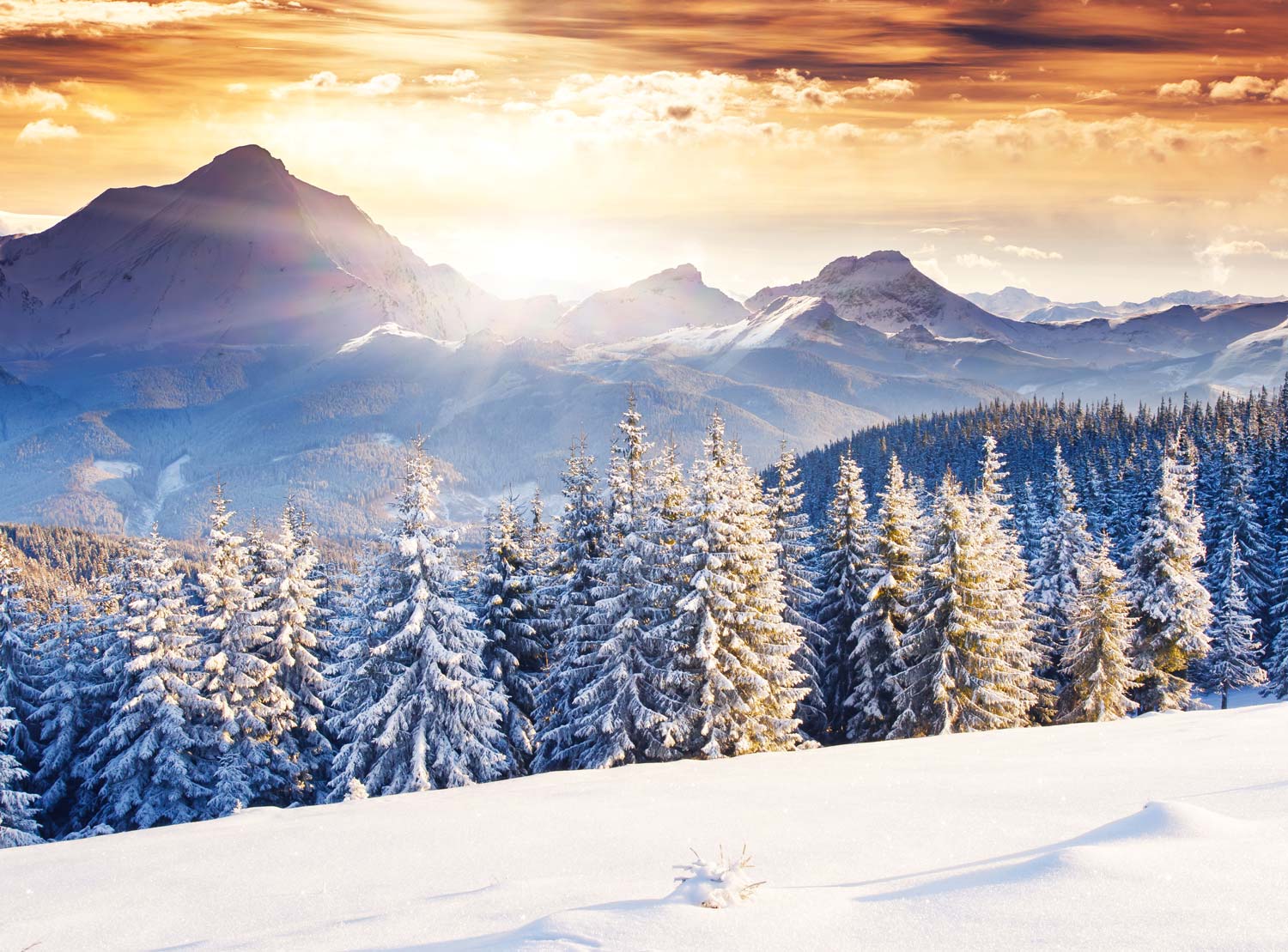 Amazing Evening Scenery in the Winter Landscape Wallpaper Mural