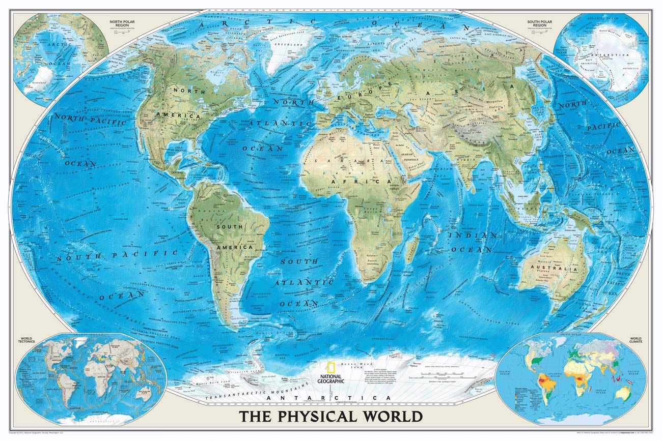 Blue World Map Educational Mural Wallpaper