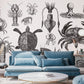 Wallpaper Mural of Ocean Animals and Creatures for Home Decoration