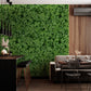 Wallpaper mural in the living room with clover plants