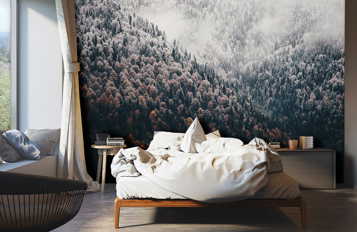 wallpaper mural featuring a misty pine forest can be used for room decoration