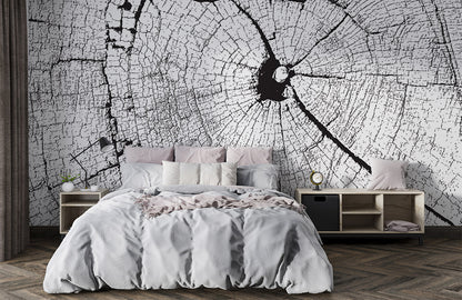 Black and White Tree Rings Mural Wallpaper in bedroom