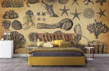 Vintage Nautical Ocean Illustrations Mural Wallpaper