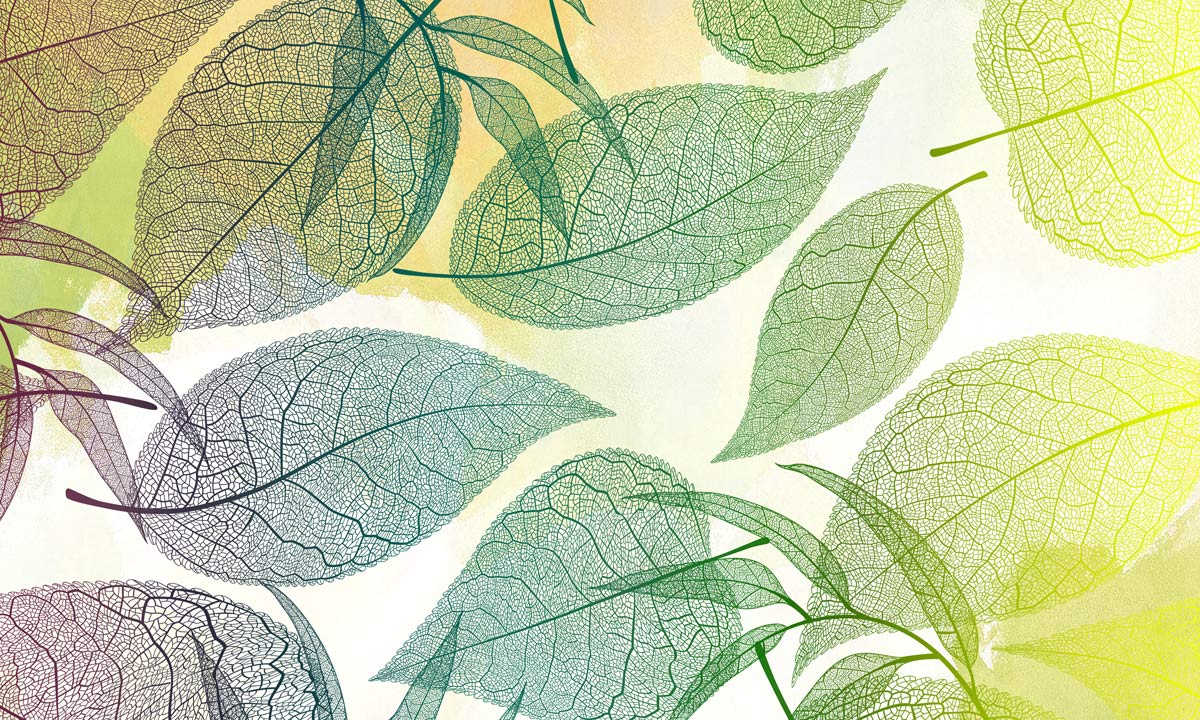 Leaves under the Sun wallpaper mural for your home's interior design