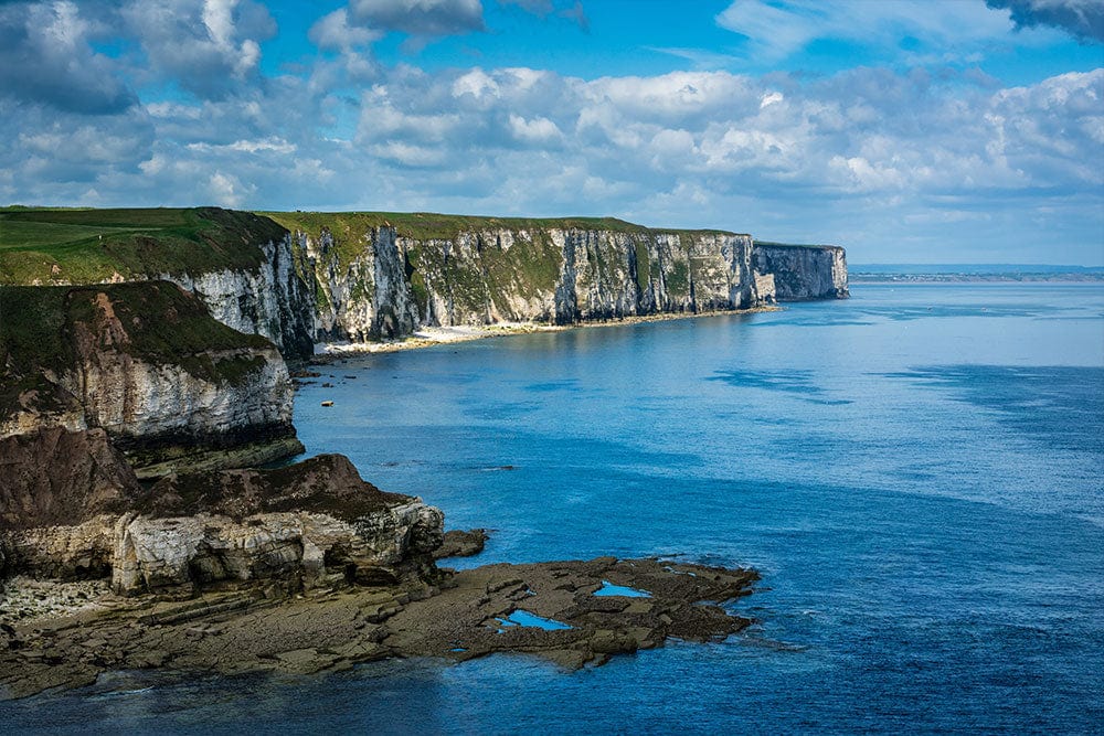 Print Mural Wallpaper of Bempton Cliffs Landscape for Interior Design