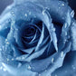 Wallpaper mural with a blue enchantress for use in interior design.