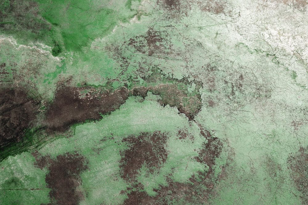 Emerald Green Abstract Mural Wallpaper