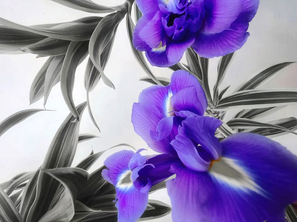 Elegant Purple Floral Botanical Mural Wallpaper
