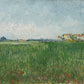 Field with Poppies Wallpaper Mural for home decor