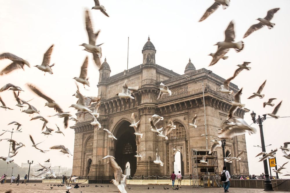 Vintage Architectural Gateway Bird Flight