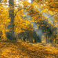 Golden Autumn Scenery Wallpaper Mural for Interior Design and Home Decoration