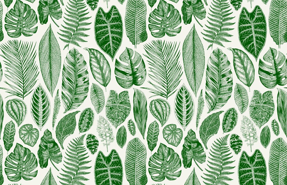 Wallpaper mural featuring a green tropical leaf design for interior decorating