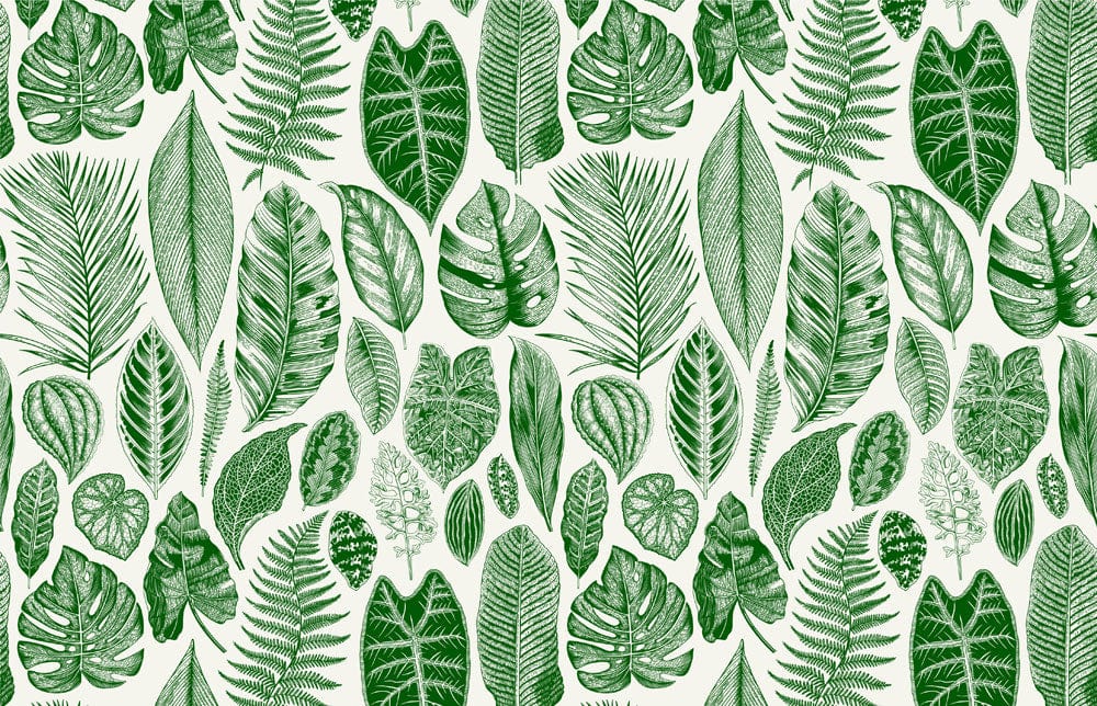 Tropical Botanical Leaf Print Mural Wallpaper