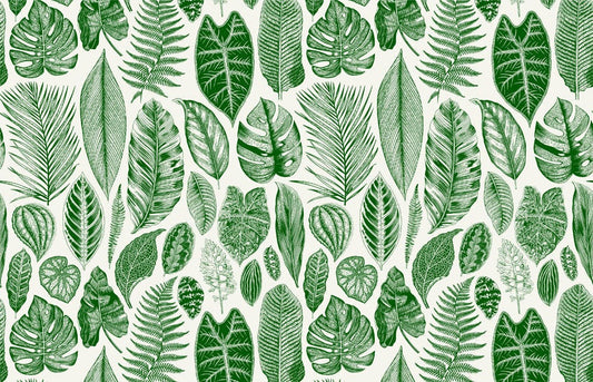 Wallpaper mural featuring a green tropical leaf design for interior decorating