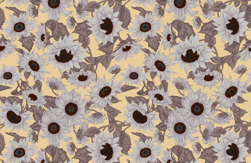 Wallpaper mural featuring grey daisies for use as room decor.