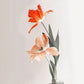 Wallpaper mural with matching lilies for use in home decor
