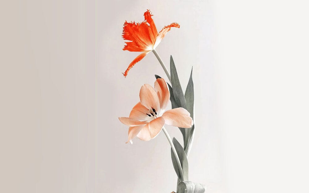 Abstract Floral Watercolor Style Mural Wallpaper
