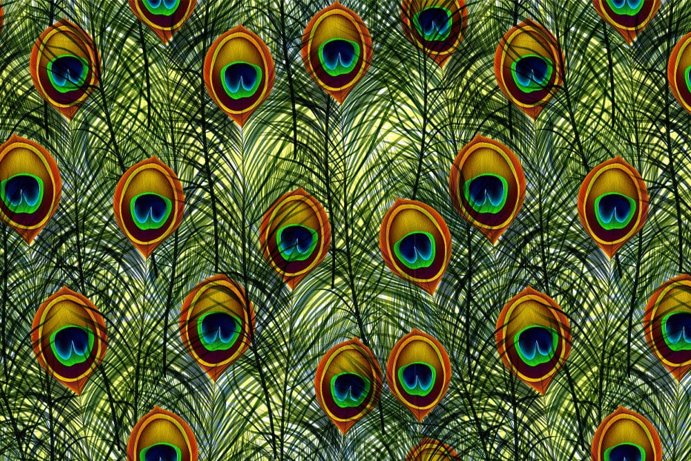 Vibrant Peacock Feather Pattern Mural Wallpaper