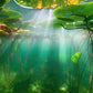 Home Decoration Wallpaper Mural with an Underwater Pond View for Sale