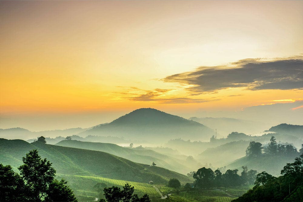 Wallpaper mural for room decoration featuring a yellow sky with mountains and landscapes.