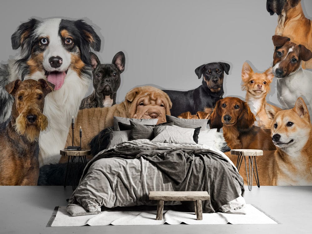 Bedroom bespoke wallpaper mural with dogs huddled together