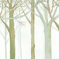 Home Decoration Utilizing the Nystrup Hazy Wood Forest Wallpaper Mural