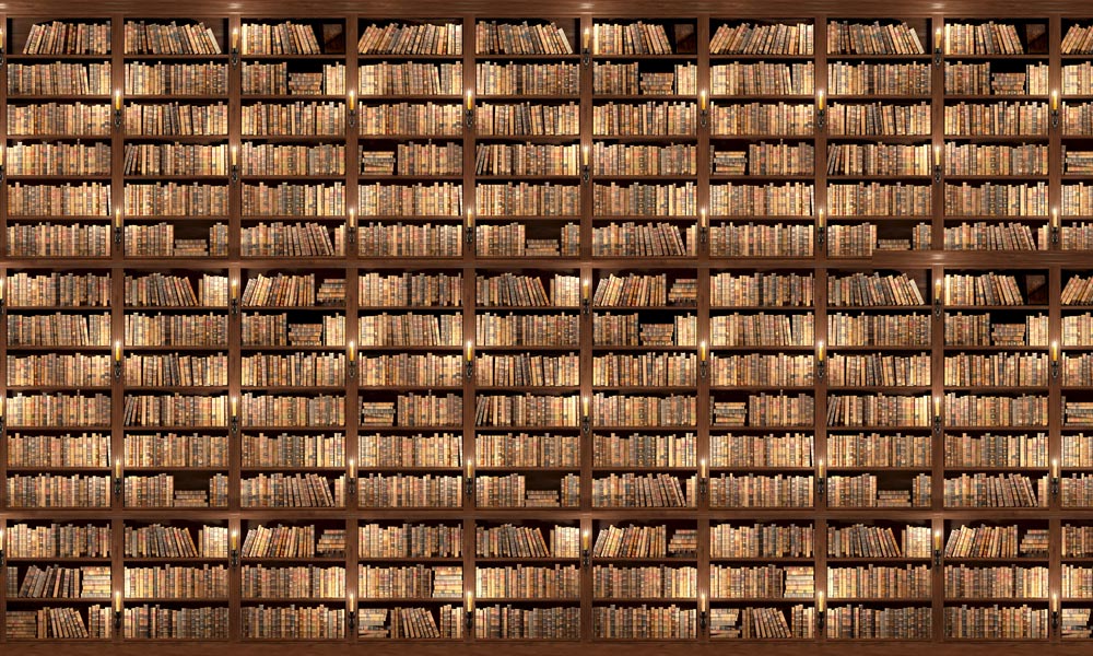 Bookshelf Wall Mural with Wood Effect Wallpaper for Home Decoration