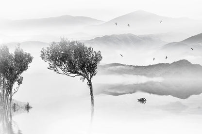 Wallpaper mural for home decoration featuring lonesome trees and a lake