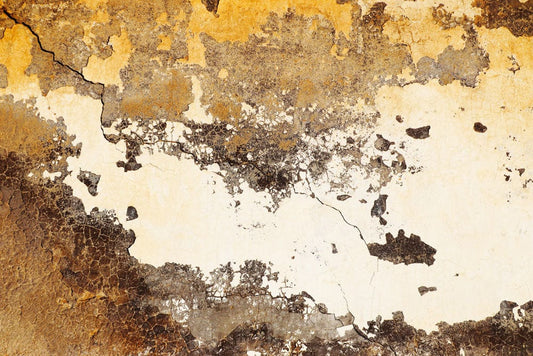 peeling pieces wallpaper mural home interior decoration