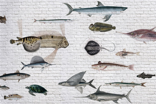 unique fish pattern gathering wallpaper design