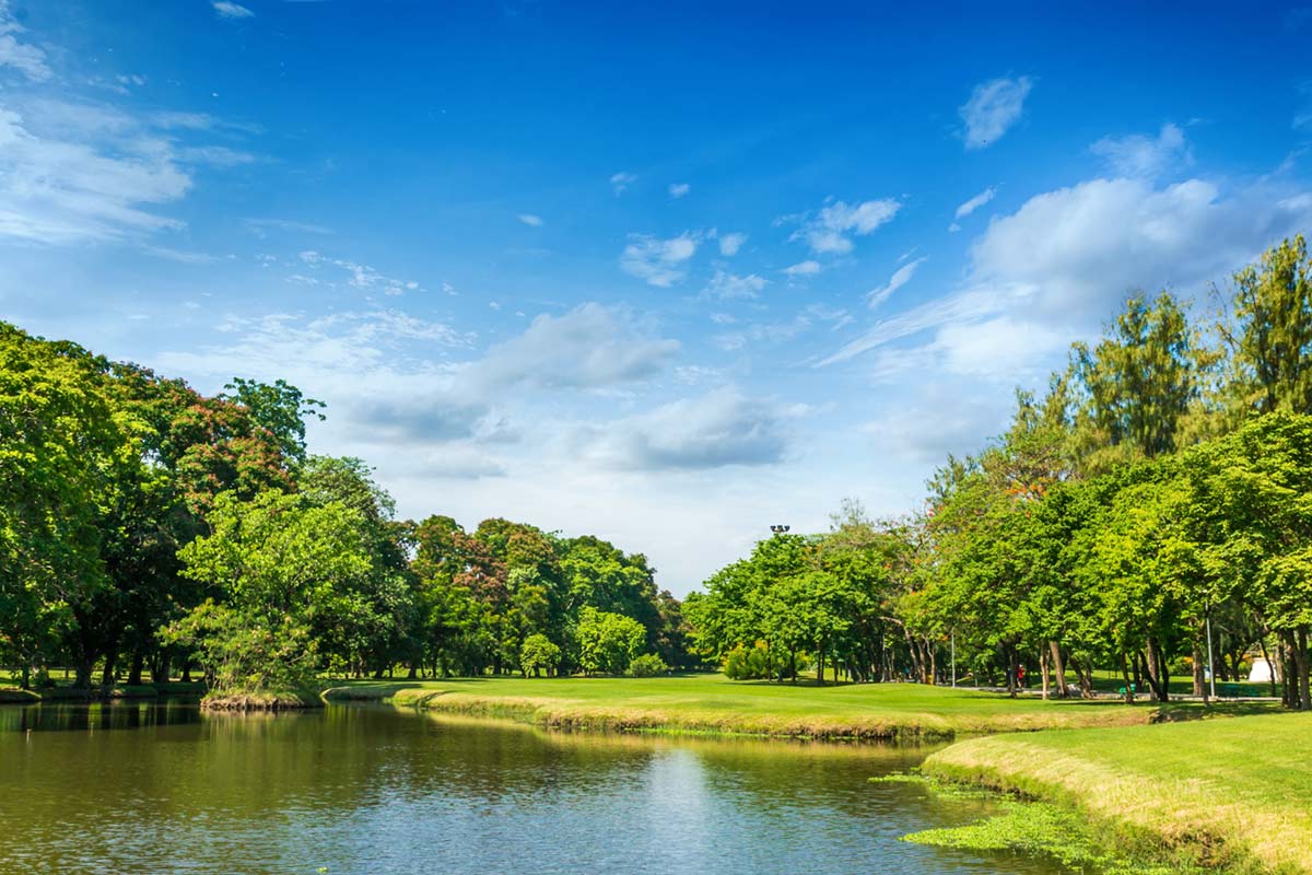 Serene Park Landscape Scenic Mural Wallpaper