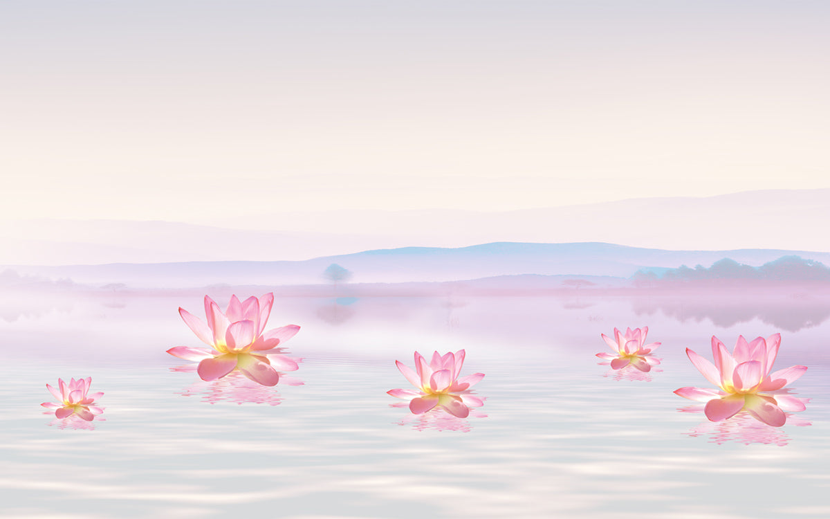 Floating Lotus Watercolor Wallpaper