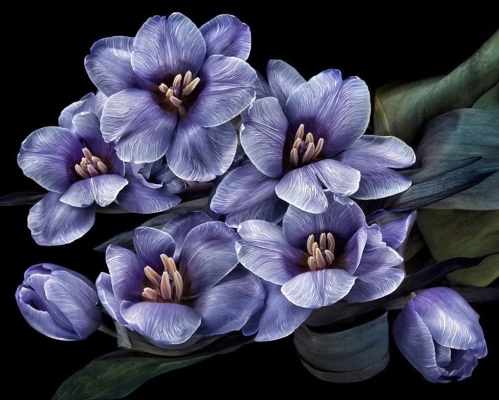 Elegant Purple Floral Bedroom Mural Wallpaper