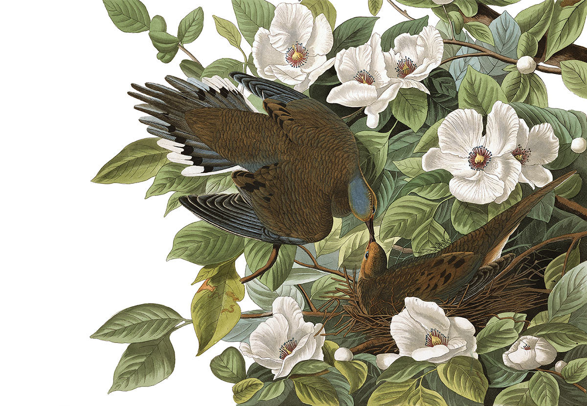 Vintage Bird Floral Nature Mural Wallpaper