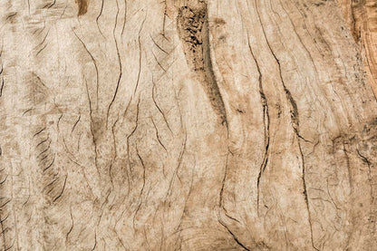 Cracked Wood Grain Wall Mural Home Interior